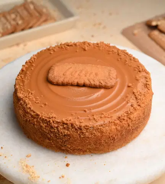 Lotus Biscoff Baked Cheesecake